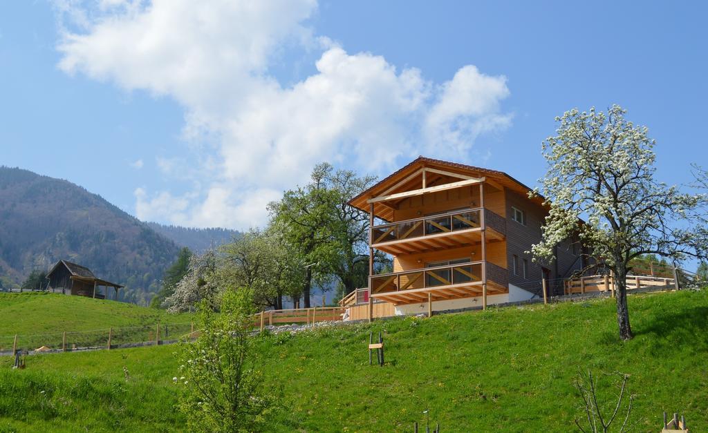 Ferienhaus Schwarzenbach Steinbach am Ziehberg Exterior foto